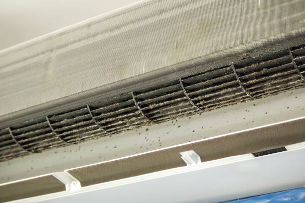 Best Air Duct Cleaning Near Me  in Lemon Hill, CA